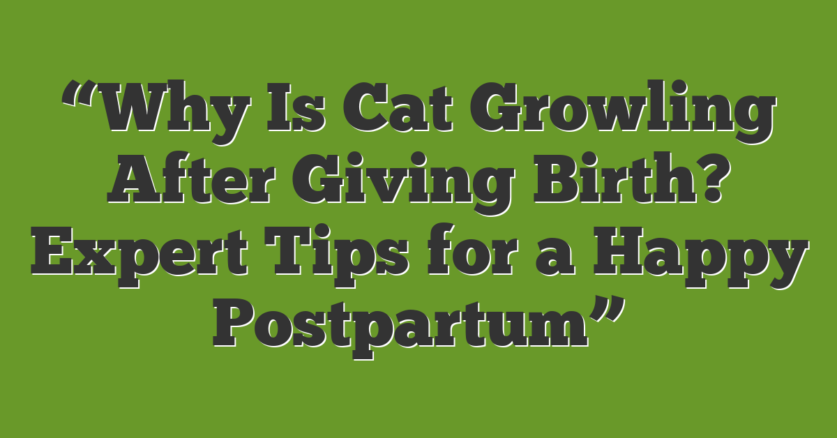 “Why Is Cat Growling After Giving Birth? Expert Tips for a Happy Postpartum”