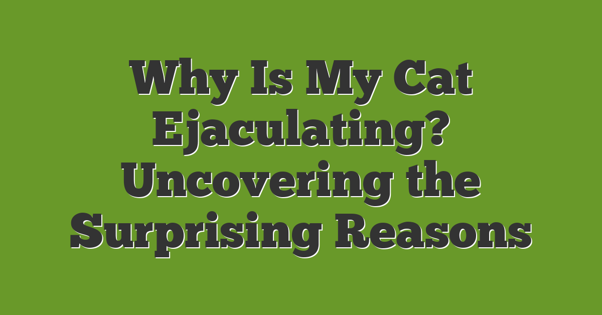 Why Is My Cat Ejaculating? Uncovering the Surprising Reasons