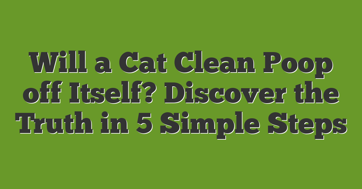 Will a Cat Clean Poop off Itself? Discover the Truth in 5 Simple Steps