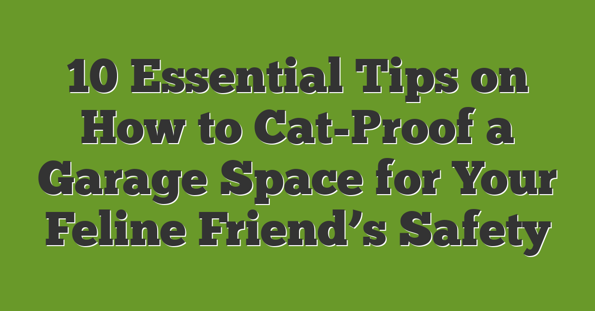 10 Essential Tips on How to Cat-Proof a Garage Space for Your Feline Friend’s Safety