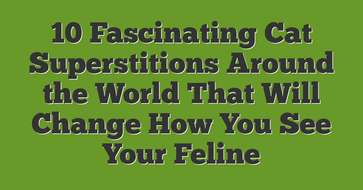10 Fascinating Cat Superstitions Around the World That Will Change How You See Your Feline