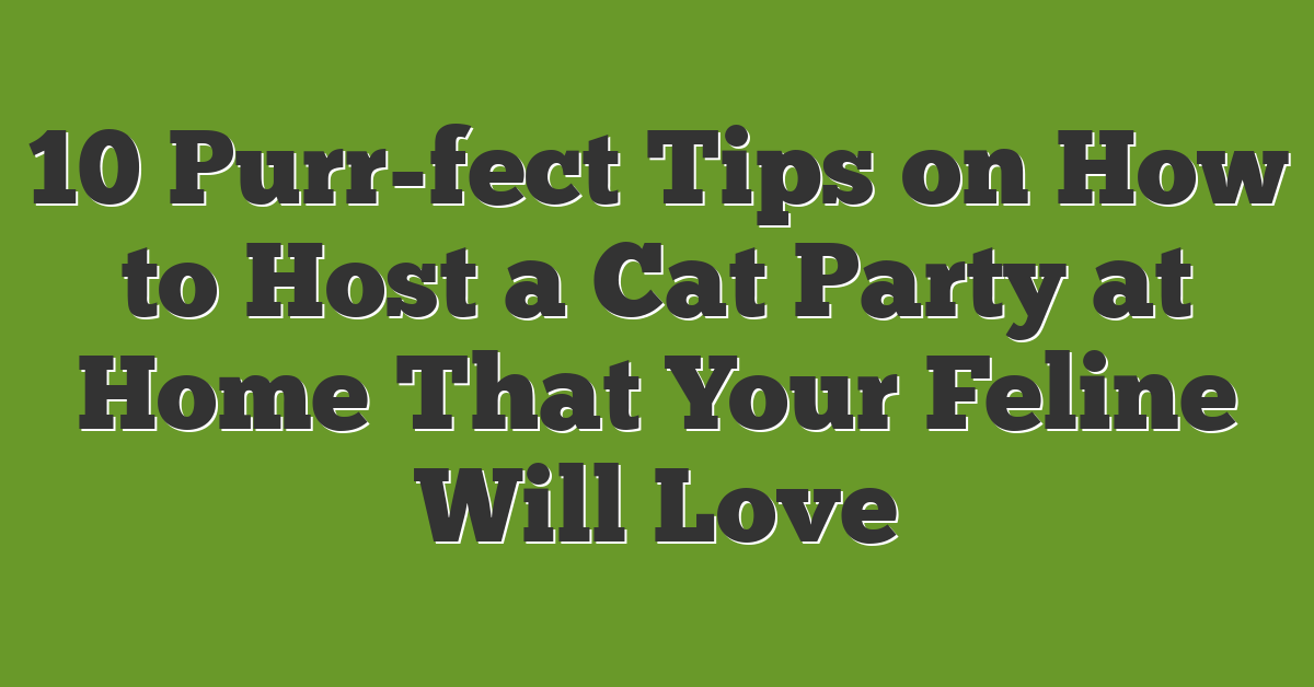 10 Purr-fect Tips on How to Host a Cat Party at Home That Your Feline Will Love
