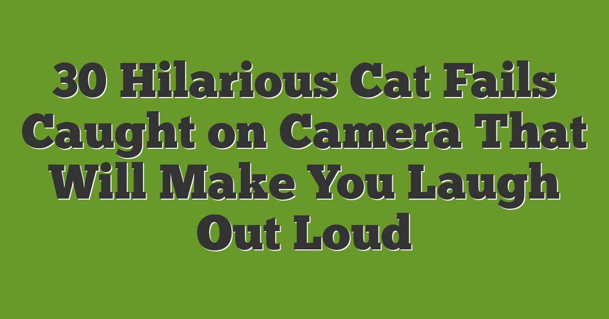 30 Hilarious Cat Fails Caught on Camera That Will Make You Laugh Out Loud