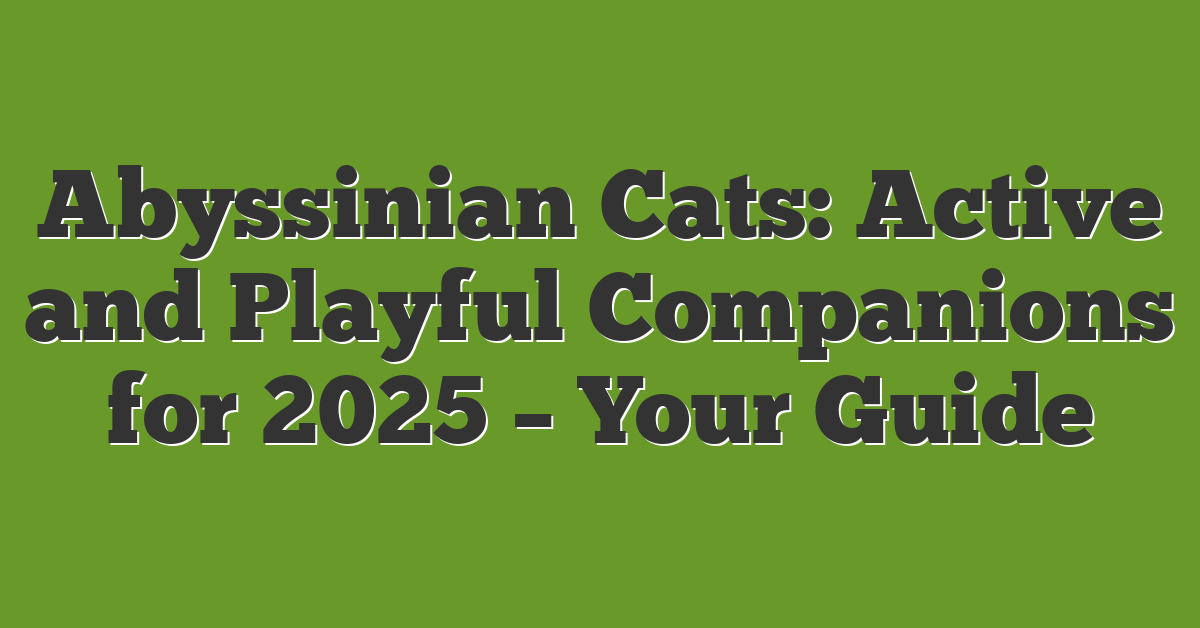 Abyssinian Cats: Active and Playful Companions for 2025 – Your Guide