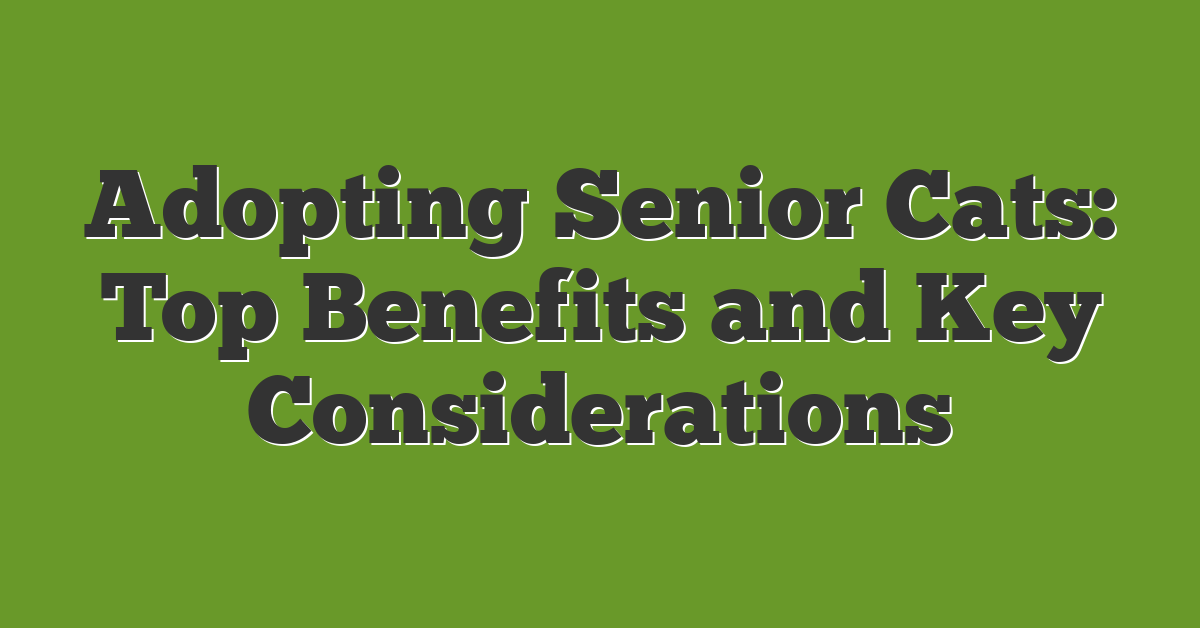 Adopting Senior Cats: Top Benefits and Key Considerations