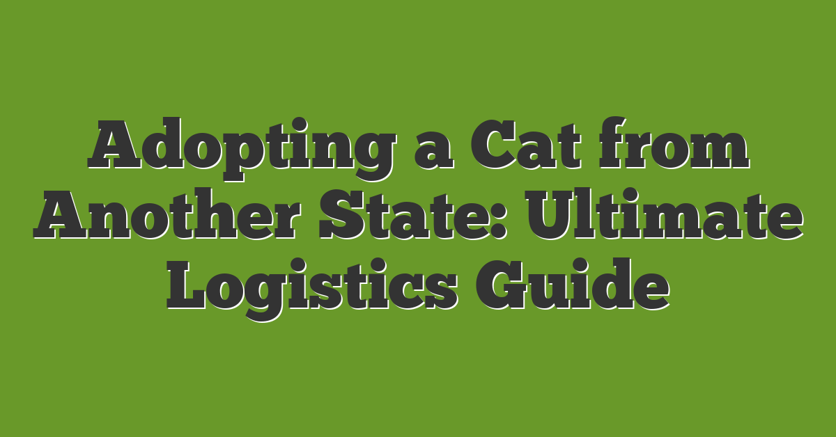 Adopting a Cat from Another State: Ultimate Logistics Guide