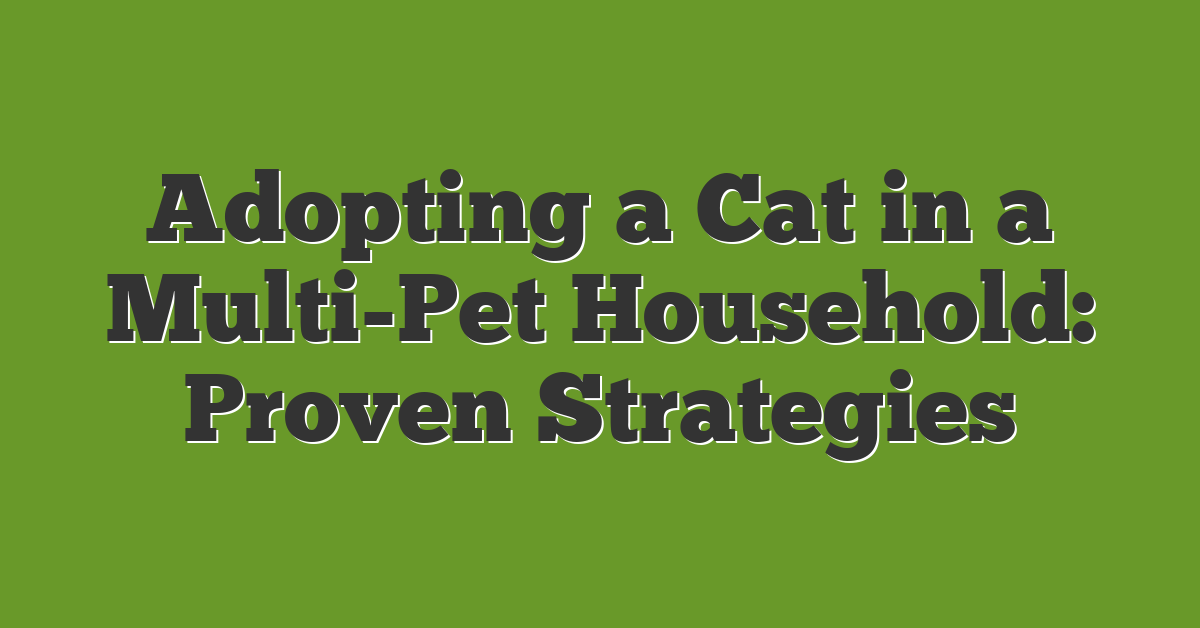 Adopting a Cat in a Multi-Pet Household: Proven Strategies