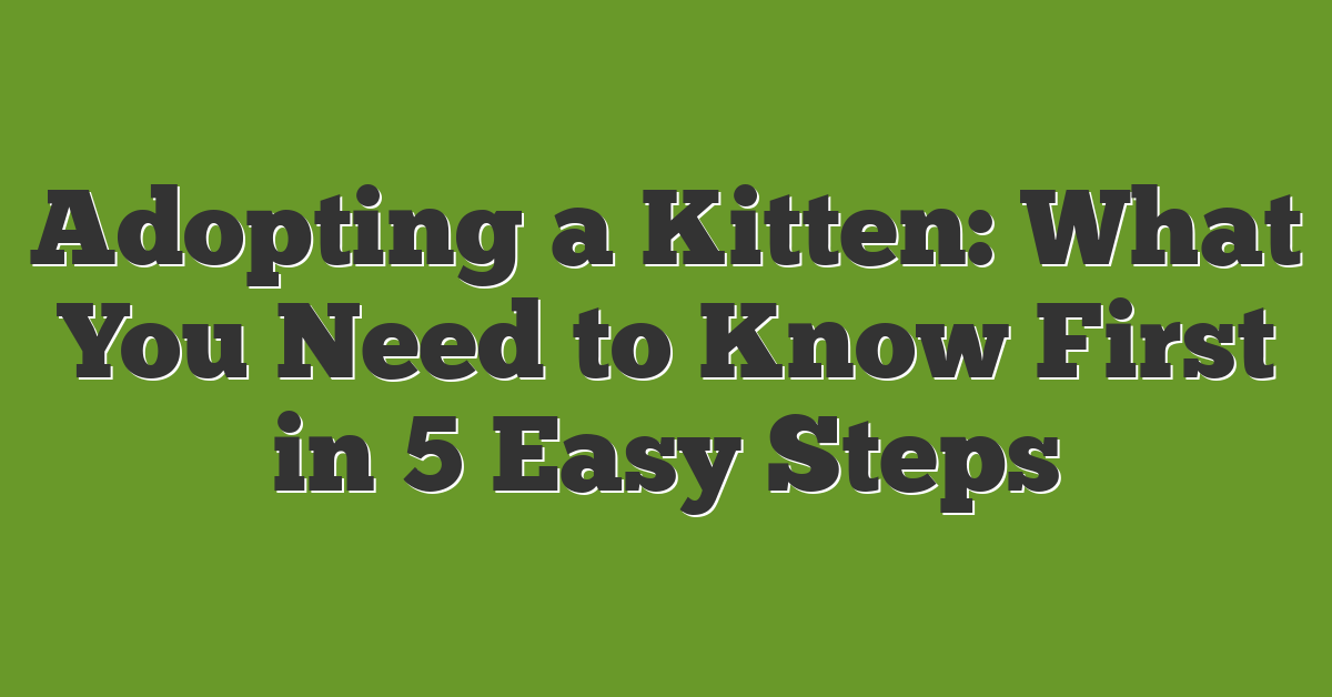 Adopting a Kitten: What You Need to Know First in 5 Easy Steps