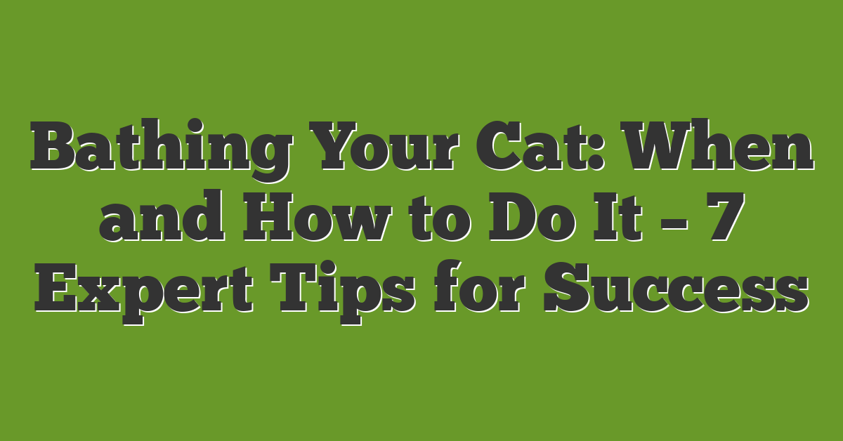Bathing Your Cat: When and How to Do It – 7 Expert Tips for Success