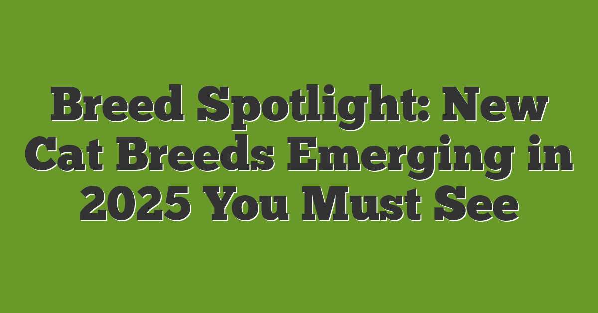 Breed Spotlight: New Cat Breeds Emerging in 2025 You Must See