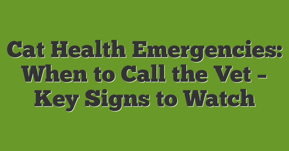 Cat Health Emergencies: When to Call the Vet – Key Signs to Watch