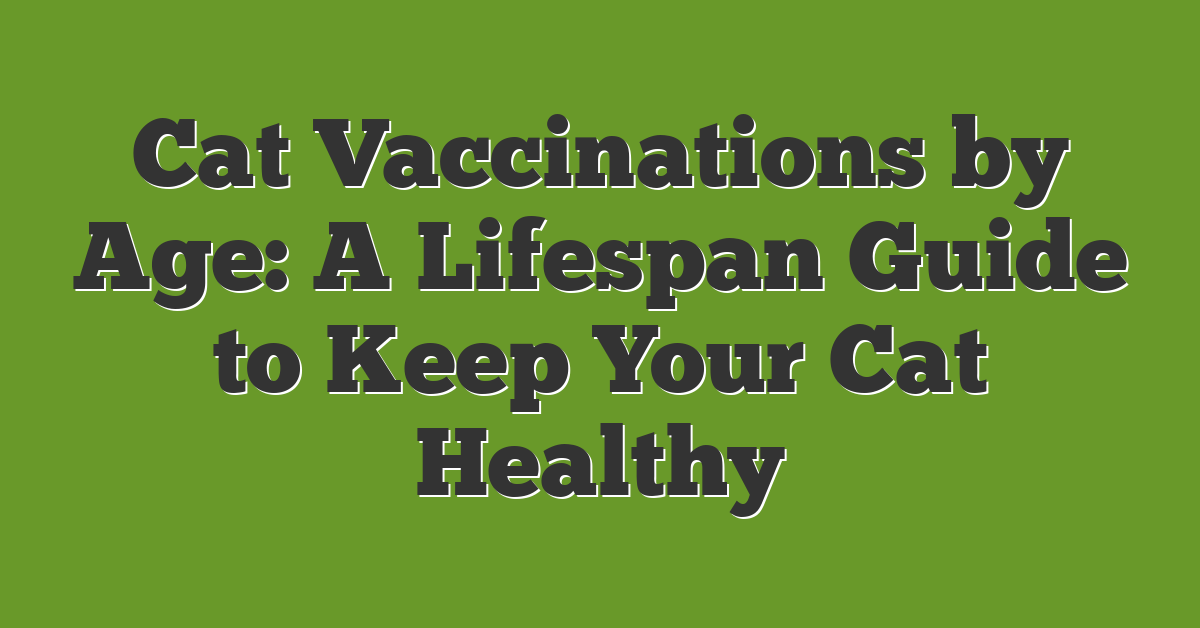 Cat Vaccinations by Age: A Lifespan Guide to Keep Your Cat Healthy