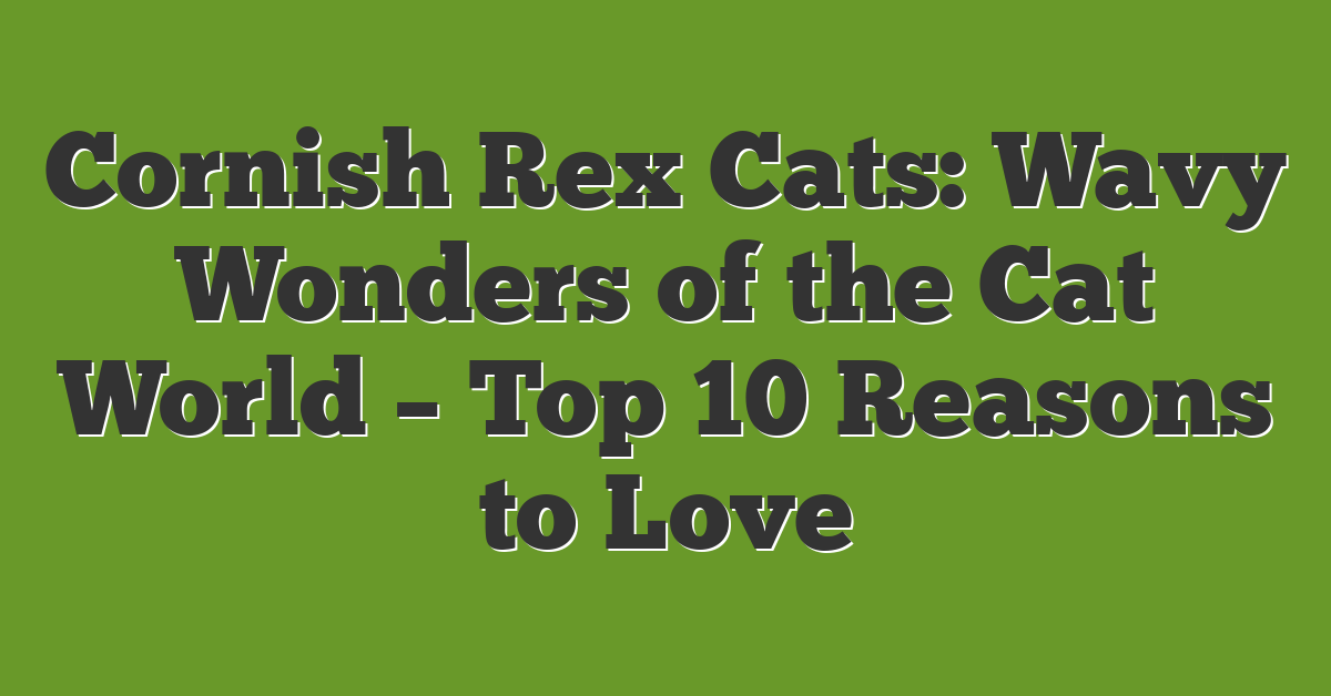 Cornish Rex Cats: Wavy Wonders of the Cat World – Top 10 Reasons to Love