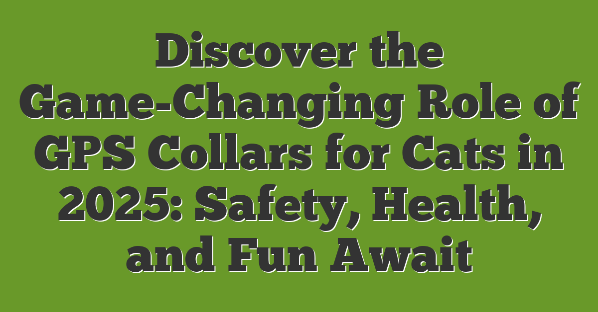 Discover the Game-Changing Role of GPS Collars for Cats in 2025: Safety, Health, and Fun Await
