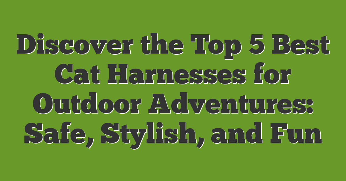 Discover the Top 5 Best Cat Harnesses for Outdoor Adventures: Safe, Stylish, and Fun