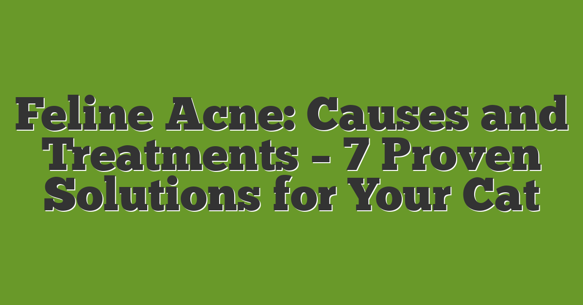Feline Acne: Causes and Treatments – 7 Proven Solutions for Your Cat