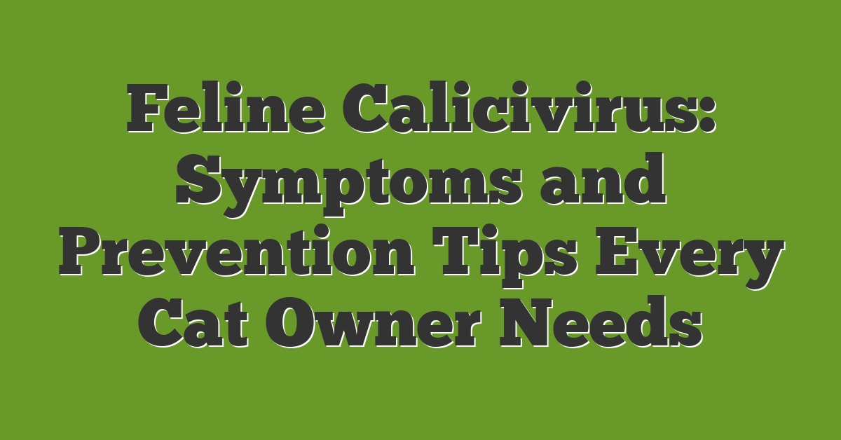 Feline Calicivirus: Symptoms and Prevention Tips Every Cat Owner Needs