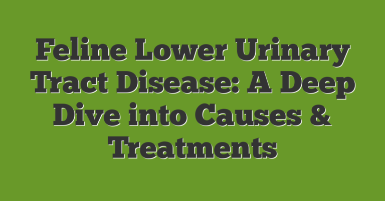 Photo inspiration: Picture Idea: Feline Lower Urinary Tract Disease A Deep Dive Into Causes
