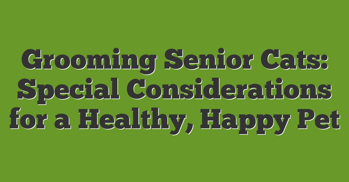 Grooming Senior Cats: Special Considerations for a Healthy, Happy Pet