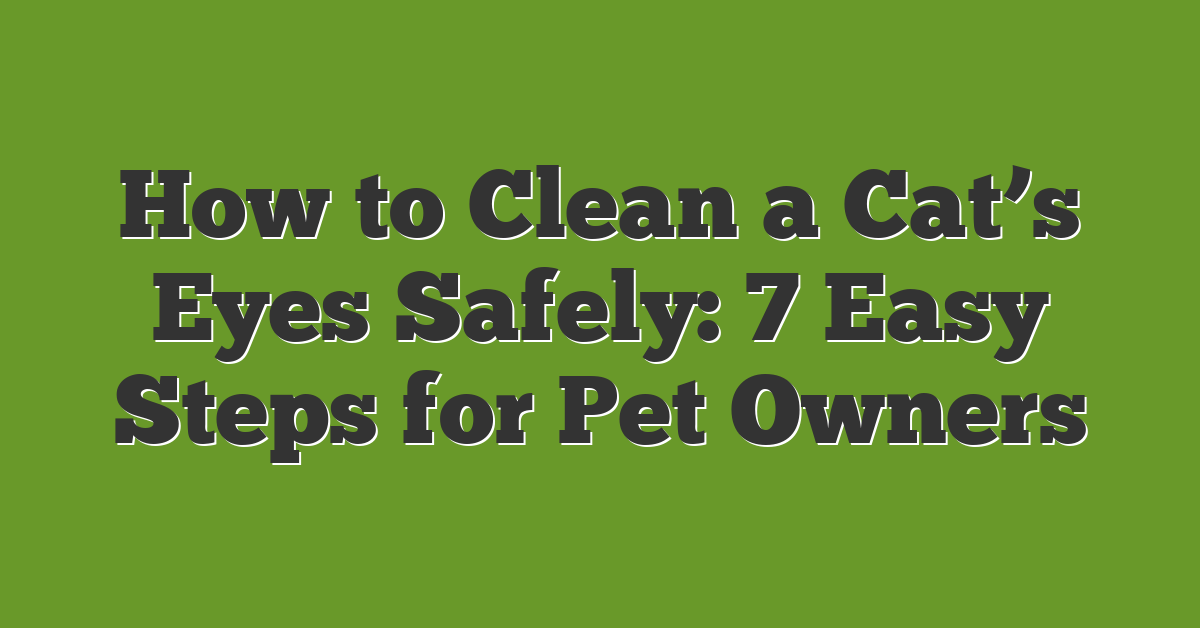 How to Clean a Cat’s Eyes Safely: 7 Easy Steps for Pet Owners