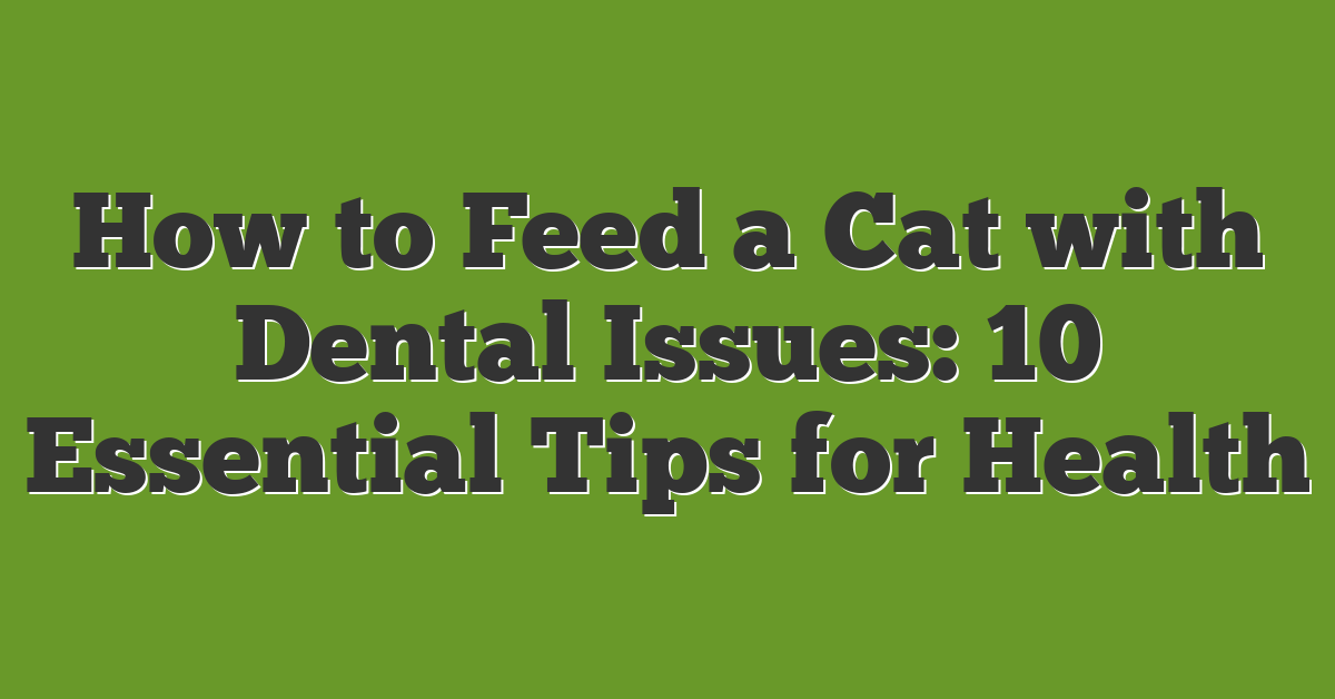 How to Feed a Cat with Dental Issues: 10 Essential Tips for Health