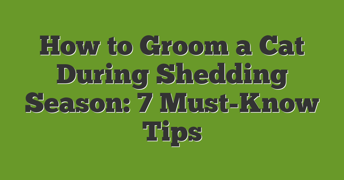 How to Groom a Cat During Shedding Season: 7 Must-Know Tips