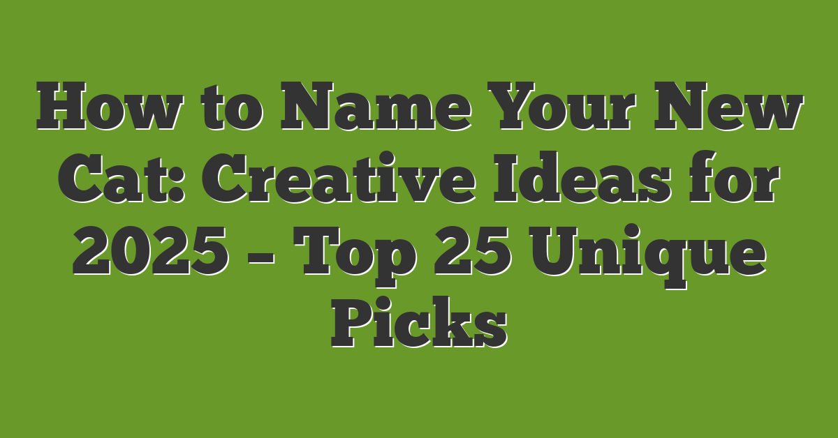 How to Name Your New Cat: Creative Ideas for 2025 – Top 25 Unique Picks
