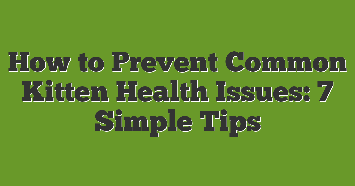 How to Prevent Common Kitten Health Issues: 7 Simple Tips