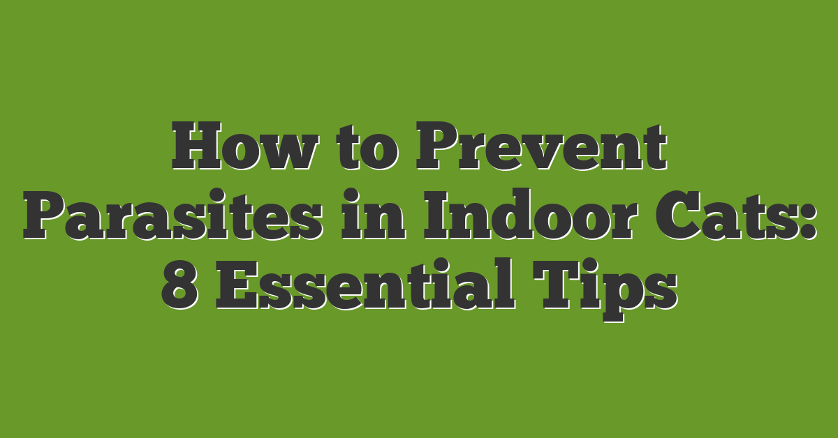 How to Prevent Parasites in Indoor Cats: 8 Essential Tips
