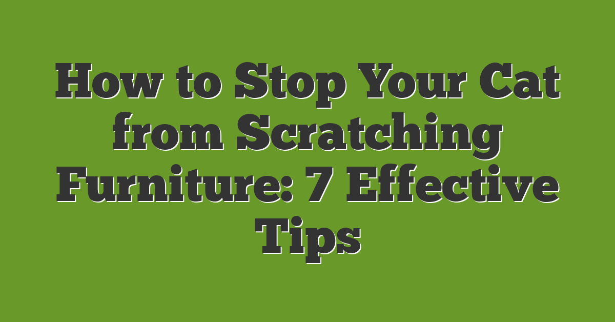 How to Stop Your Cat from Scratching Furniture: 7 Effective Tips