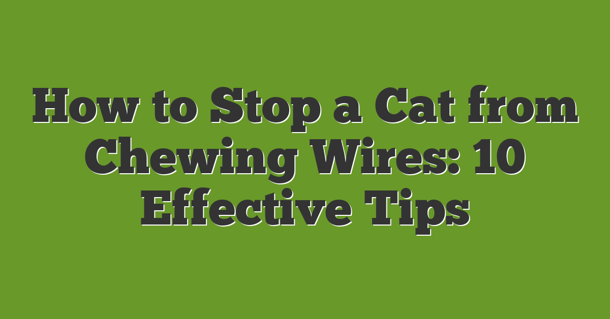 How to Stop a Cat from Chewing Wires: 10 Effective Tips