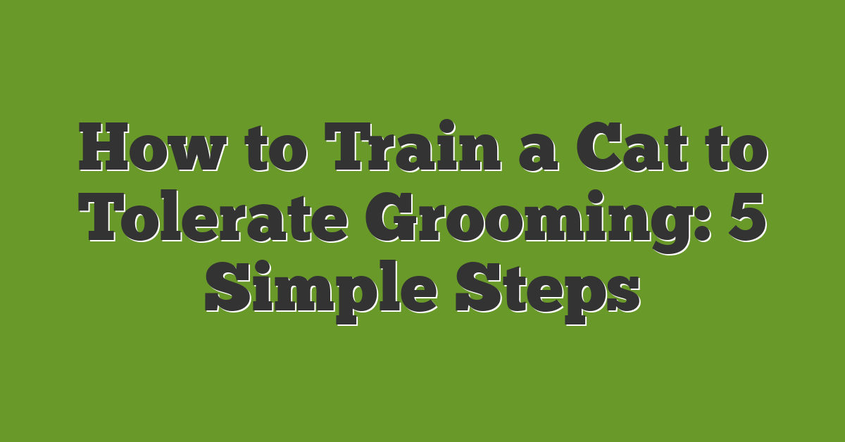 How to Train a Cat to Tolerate Grooming: 5 Simple Steps