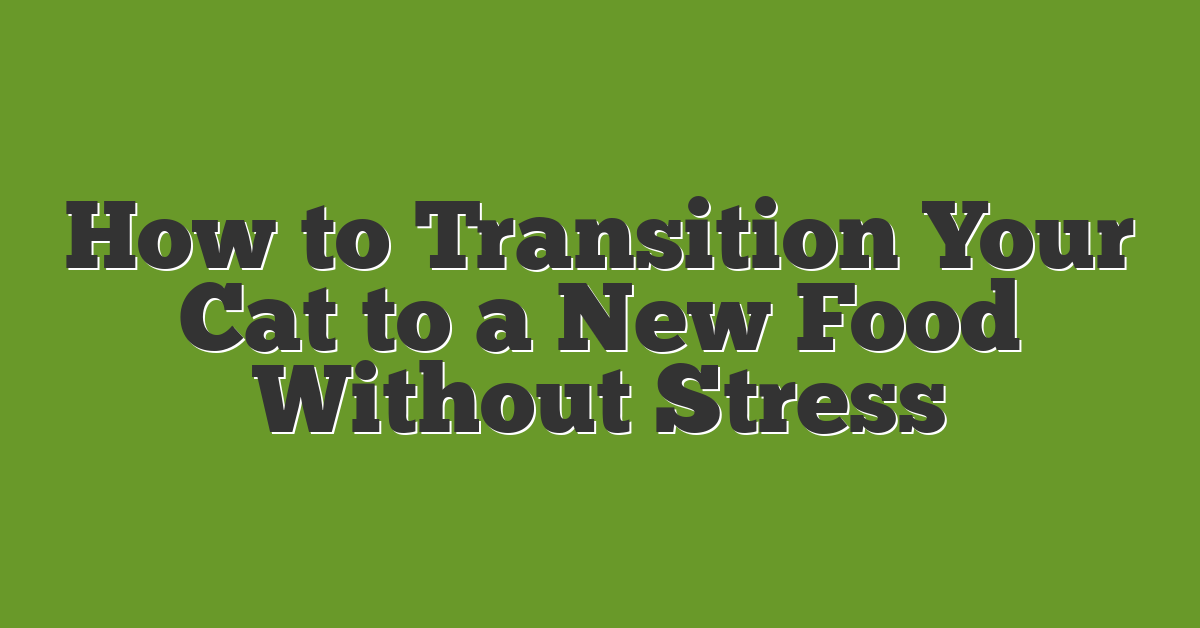 How to Transition Your Cat to a New Food Without Stress