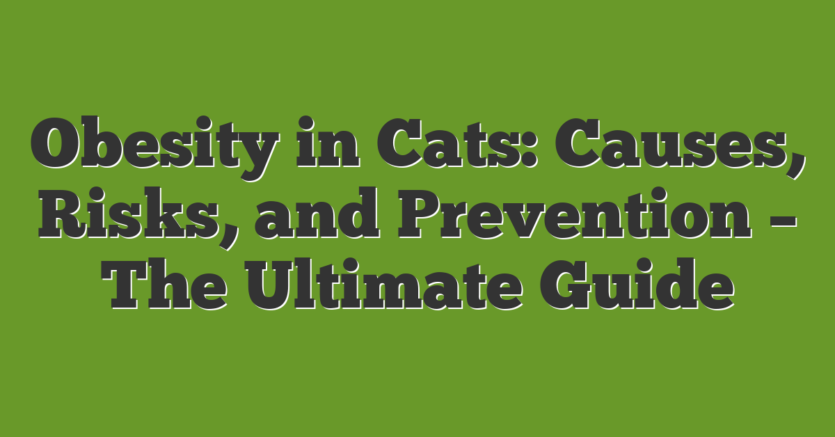 Obesity in Cats: Causes, Risks, and Prevention – The Ultimate Guide