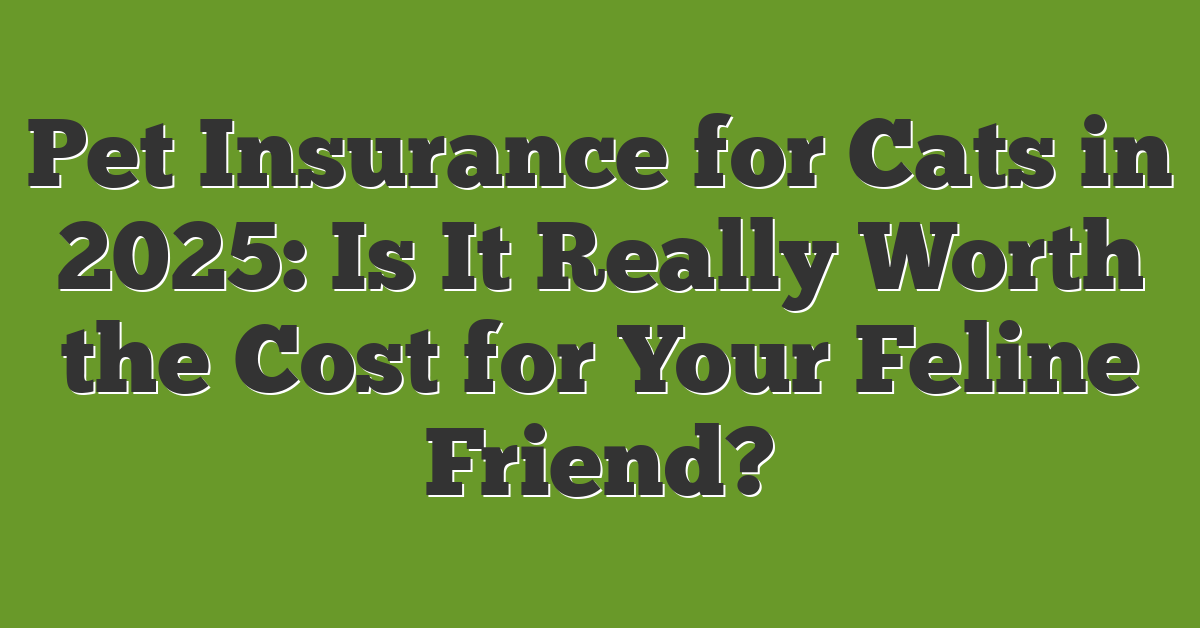 Pet Insurance for Cats in 2025: Is It Really Worth the Cost for Your Feline Friend?