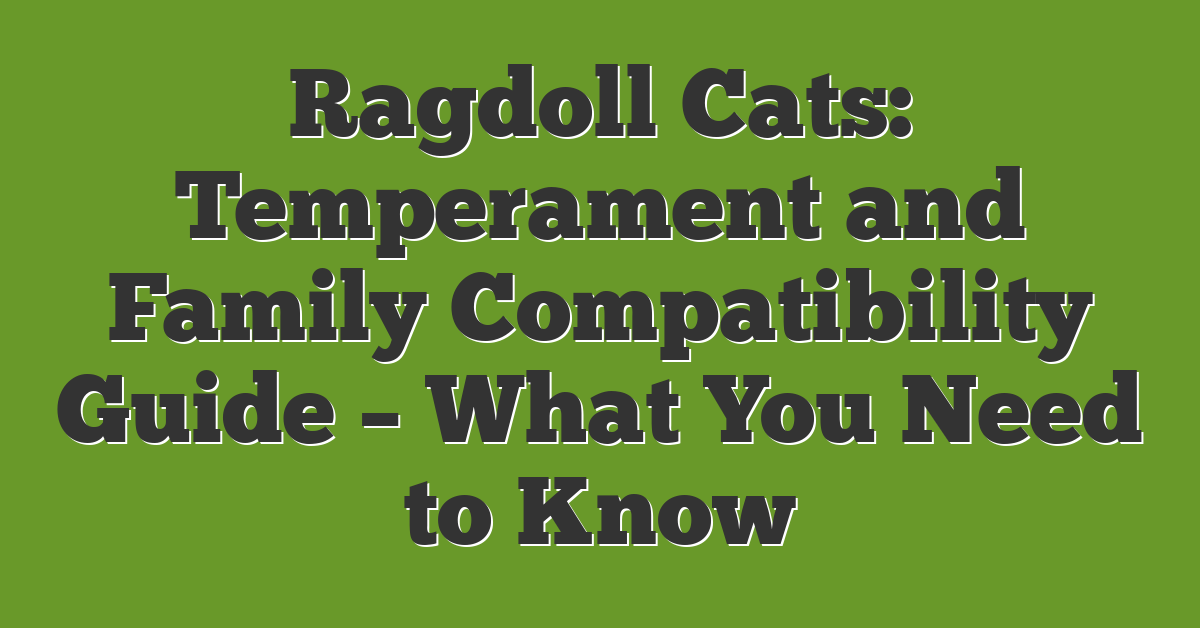 Ragdoll Cats: Temperament and Family Compatibility Guide – What You Need to Know