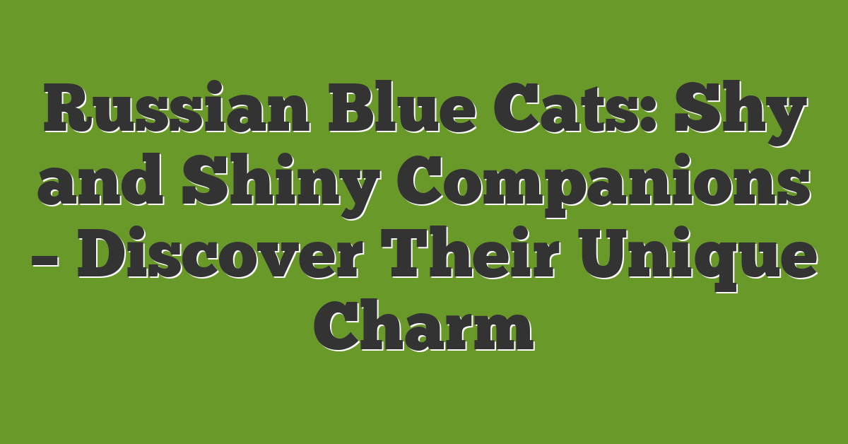 Russian Blue Cats: Shy and Shiny Companions – Discover Their Unique Charm