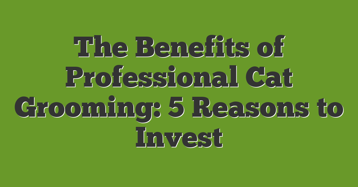 The Benefits of Professional Cat Grooming: 5 Reasons to Invest
