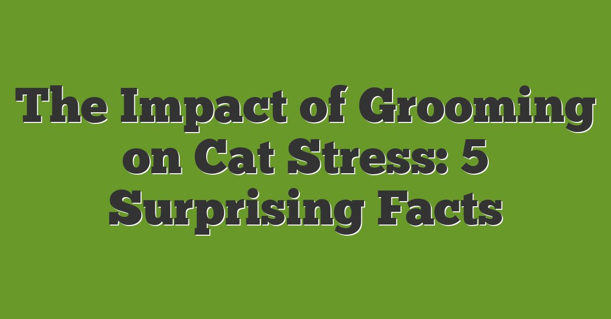 The Impact of Grooming on Cat Stress: 5 Surprising Facts