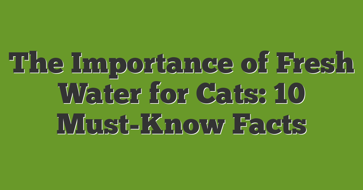 The Importance of Fresh Water for Cats: 10 Must-Know Facts