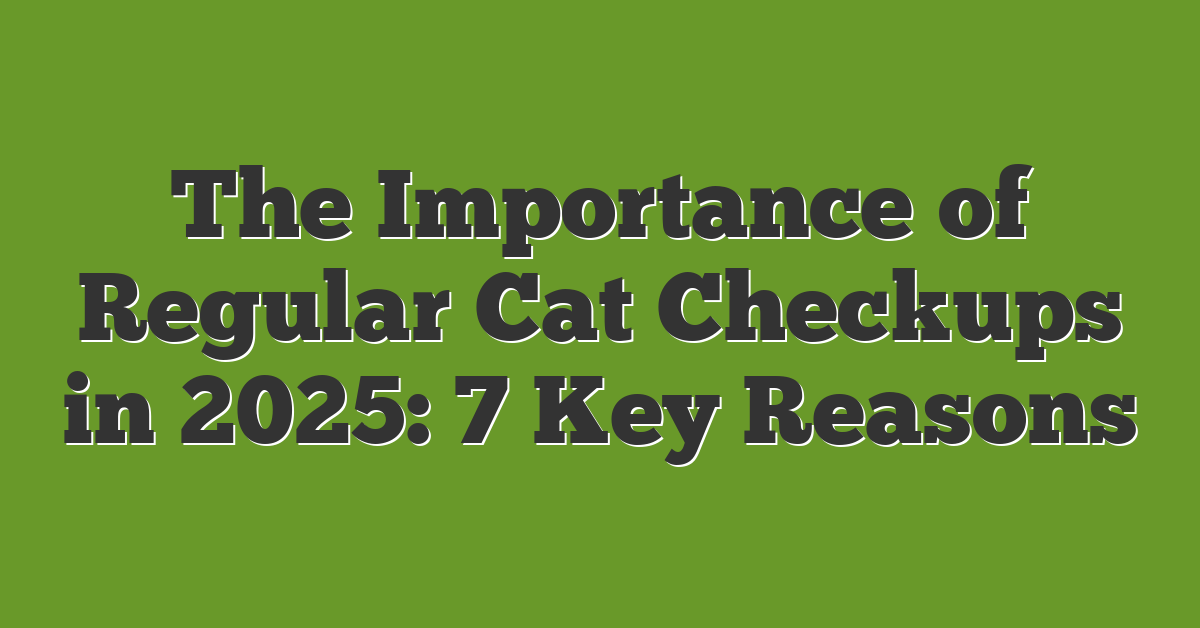 The Importance of Regular Cat Checkups in 2025: 7 Key Reasons