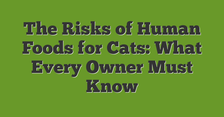 Cat Risk It Human The Risks Of Human Foods For Cats: What Every Owner Must Know