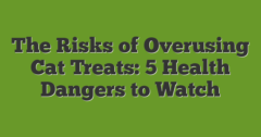 The Risks Of Overusing Cat Treats: 5 Health Dangers To Watch - Variable Treat Release Timing For Cats