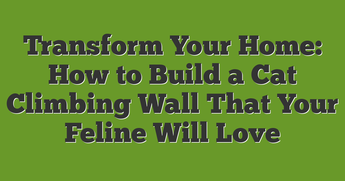 Transform Your Home: How to Build a Cat Climbing Wall That Your Feline Will Love