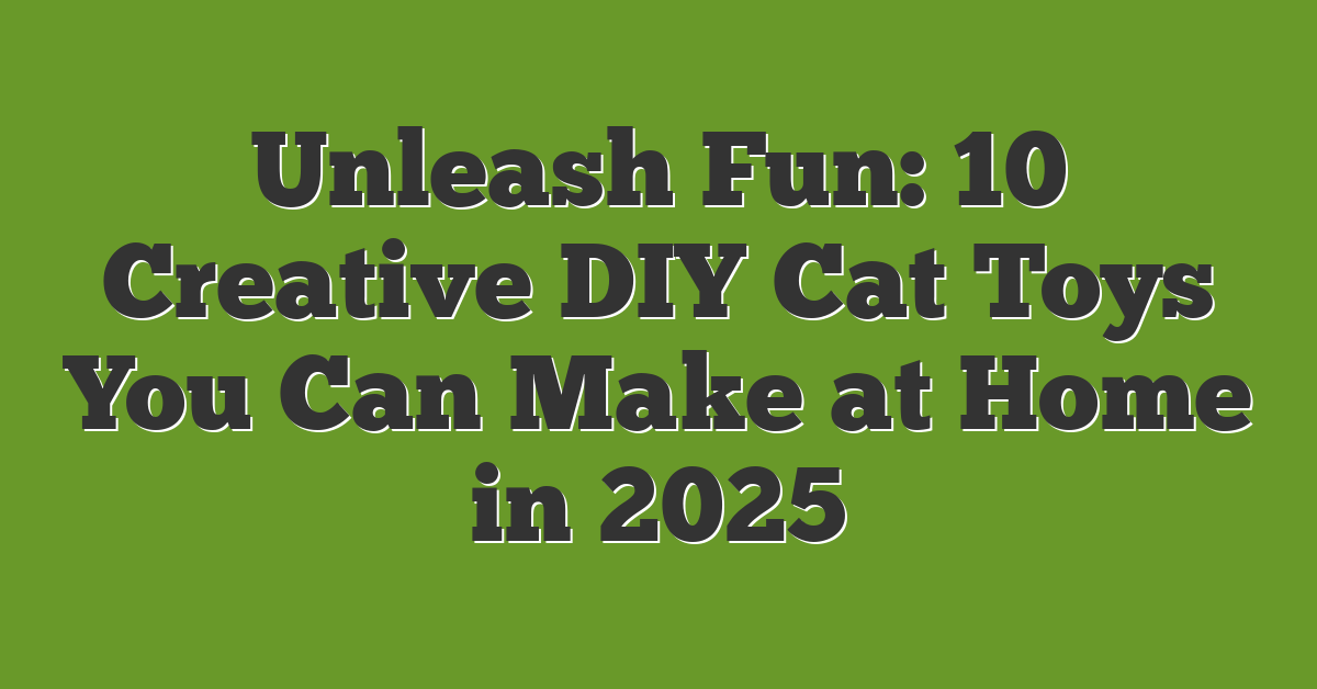 Unleash Fun: 10 Creative DIY Cat Toys You Can Make at Home in 2025