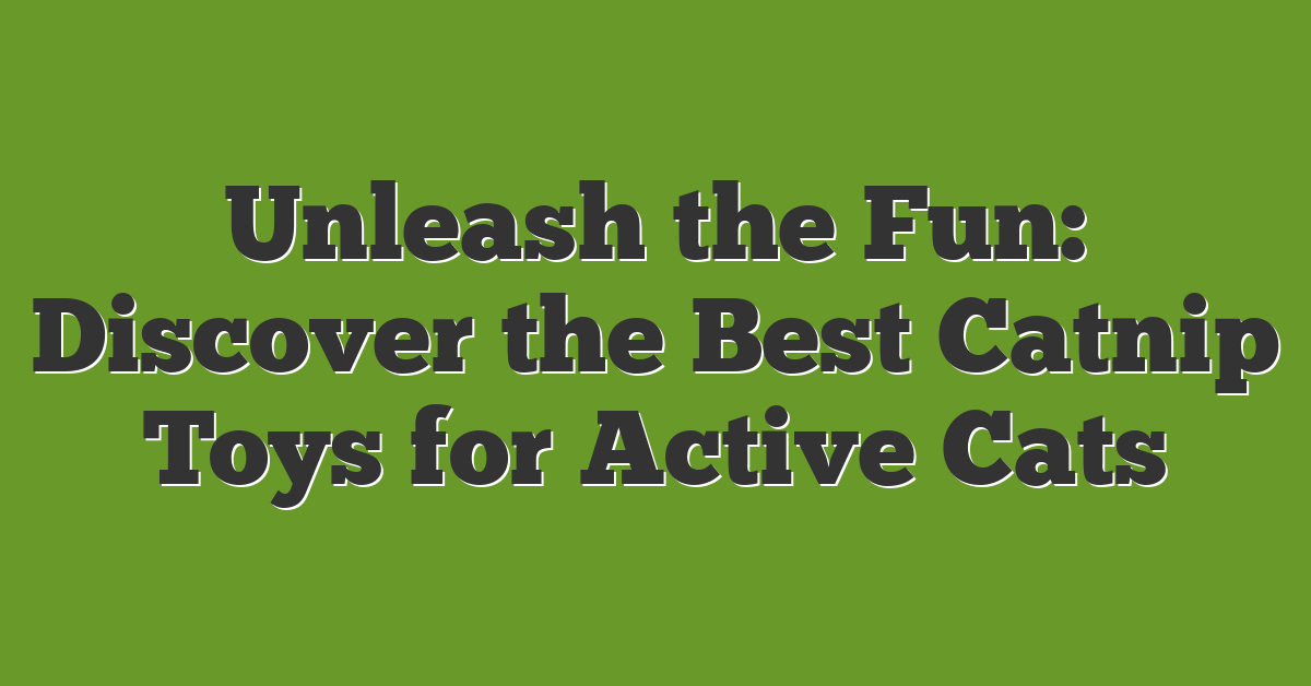 Unleash the Fun: Discover the Best Catnip Toys for Active Cats