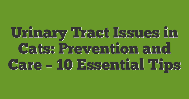 Image showcasing Urinary Tract Issues In Cats: Prevention And Care – 10 Essential Tips