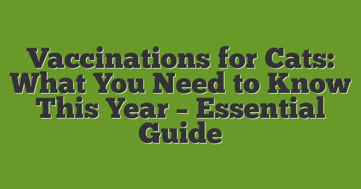 Vaccinations for Cats: What You Need to Know This Year – Essential Guide