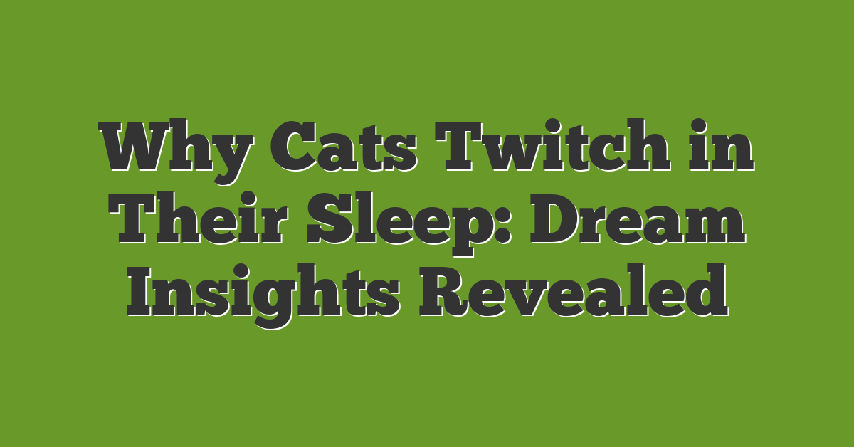 Why Cats Twitch in Their Sleep: Dream Insights Revealed
