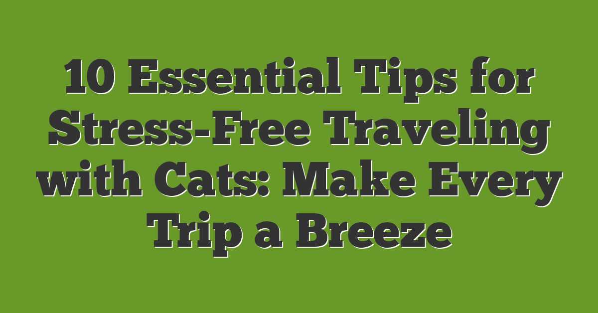 10 Essential Tips for Stress-Free Traveling with Cats: Make Every Trip a Breeze